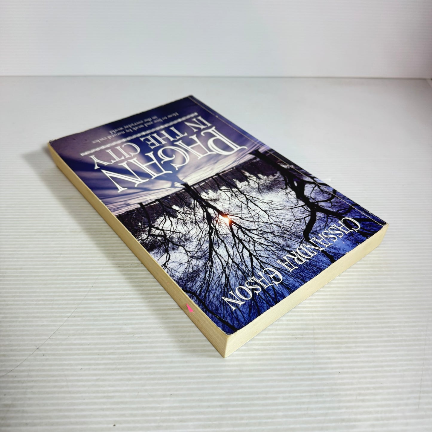 Pagan In The City - Cassandra Eason