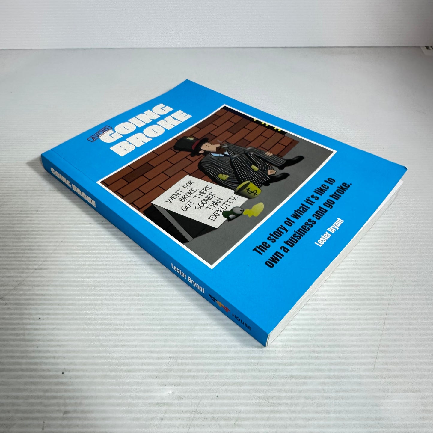 Avoid Going Broke : The story of what it's like to own a business and go broke - Lester Bryan