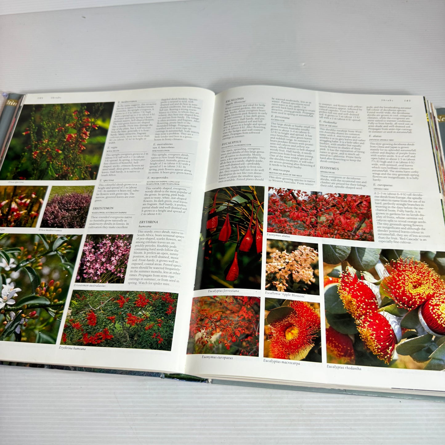 The Ultimate New Zealand Gardening Book - Edited by Geoff Bryant (Vintage 1994)