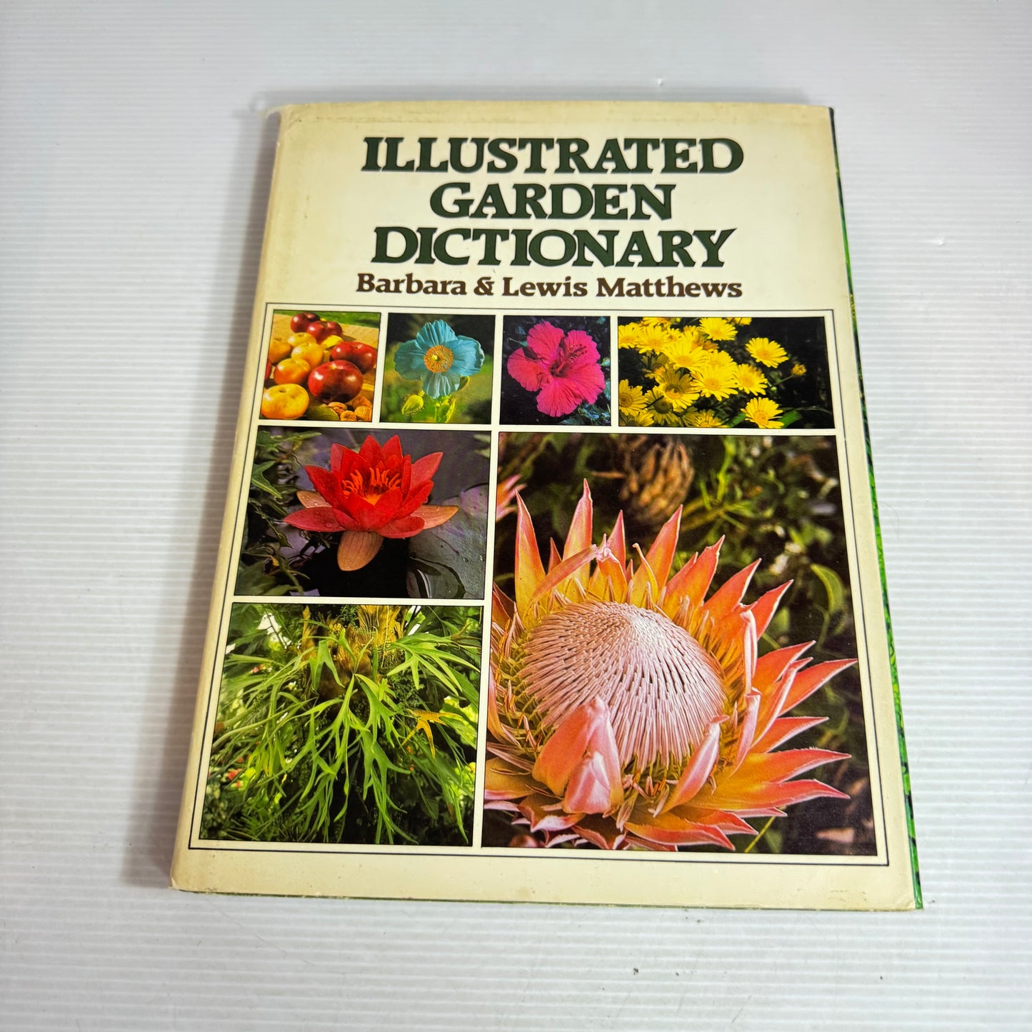 Illustrated Garden Dictionary - Barbara & Lewis Matthews (Vintage 1979)