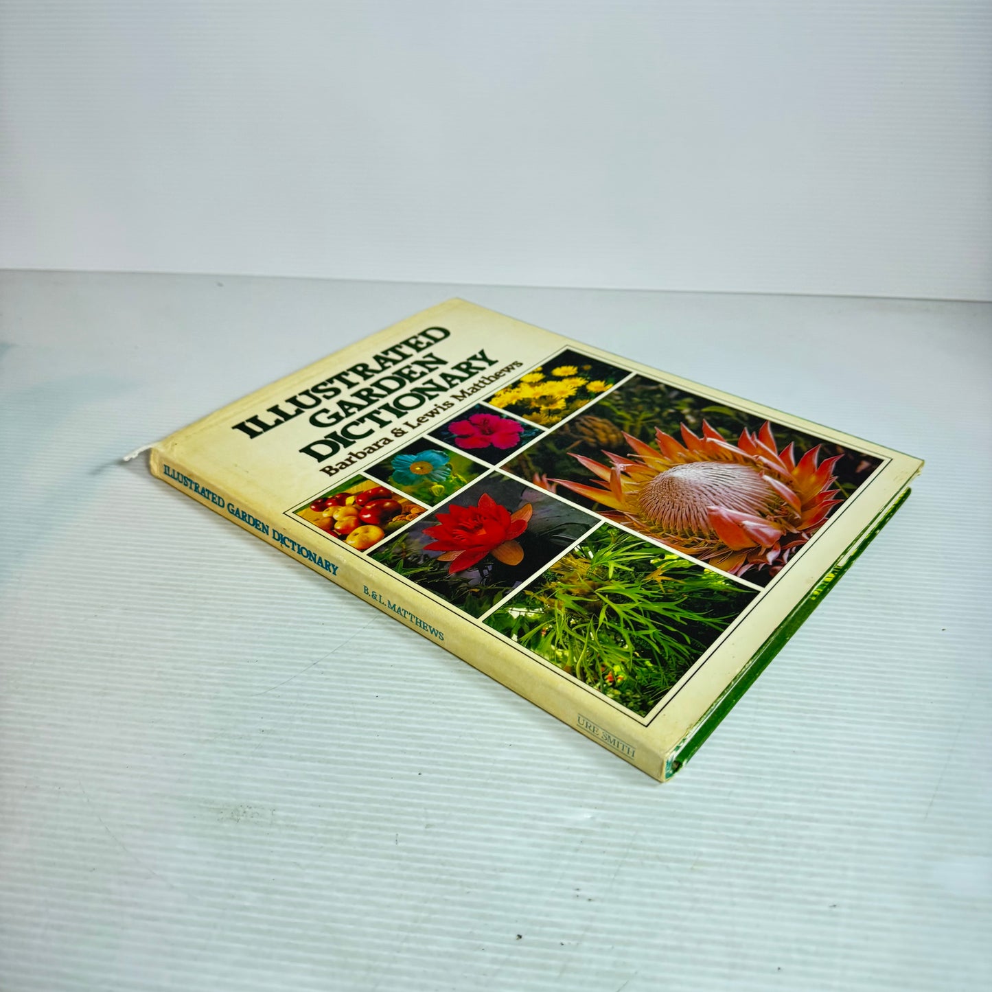 Illustrated Garden Dictionary - Barbara & Lewis Matthews (Vintage 1979)