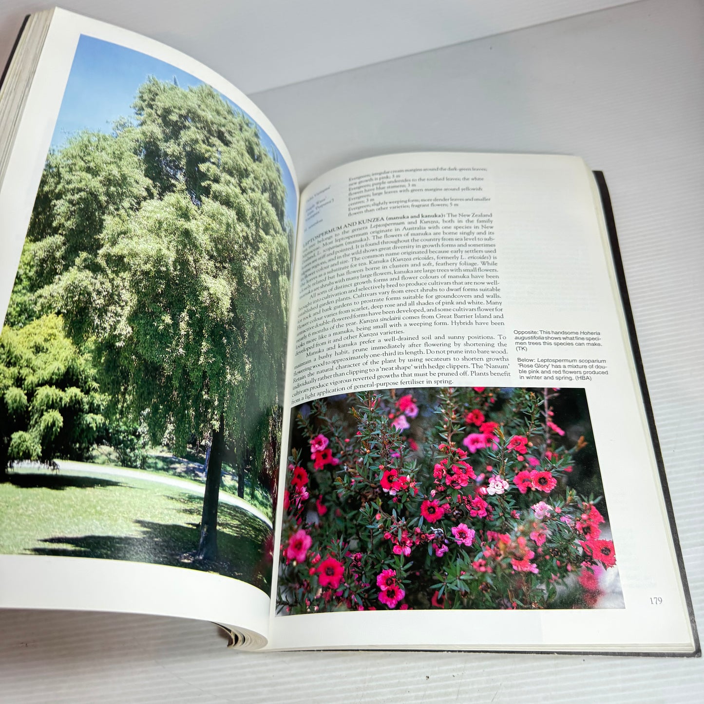 Palmers Garden Show : Guide to Gardening in New Zealand - Forward by Maggie Barry (Vintage 1993)