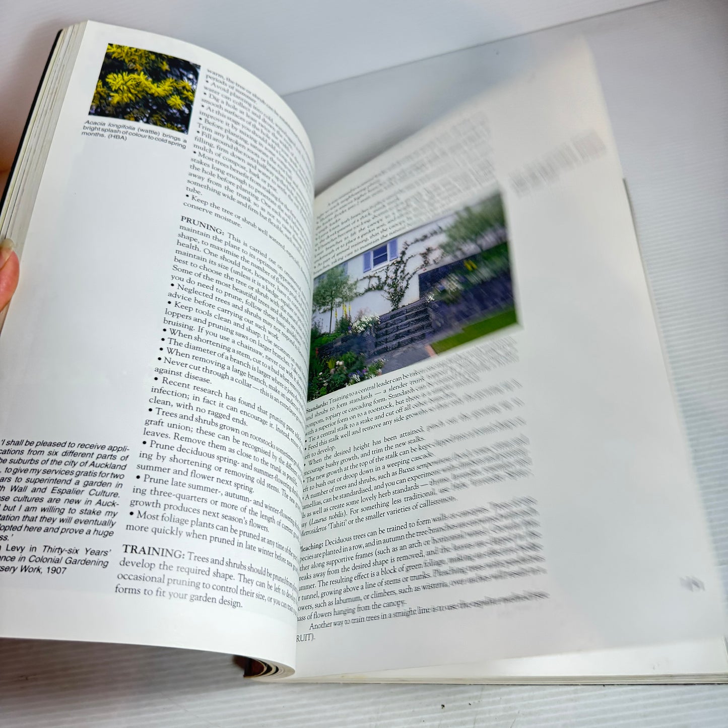 Palmers Garden Show : Guide to Gardening in New Zealand - Forward by Maggie Barry (Vintage 1993)