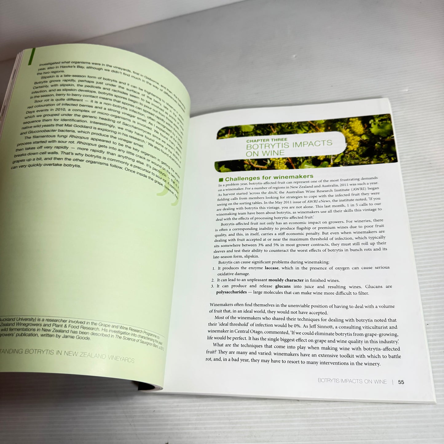 Understanding Botrytis in New Zealand Vineyards - Ruby Andrew & Trevor Lupton