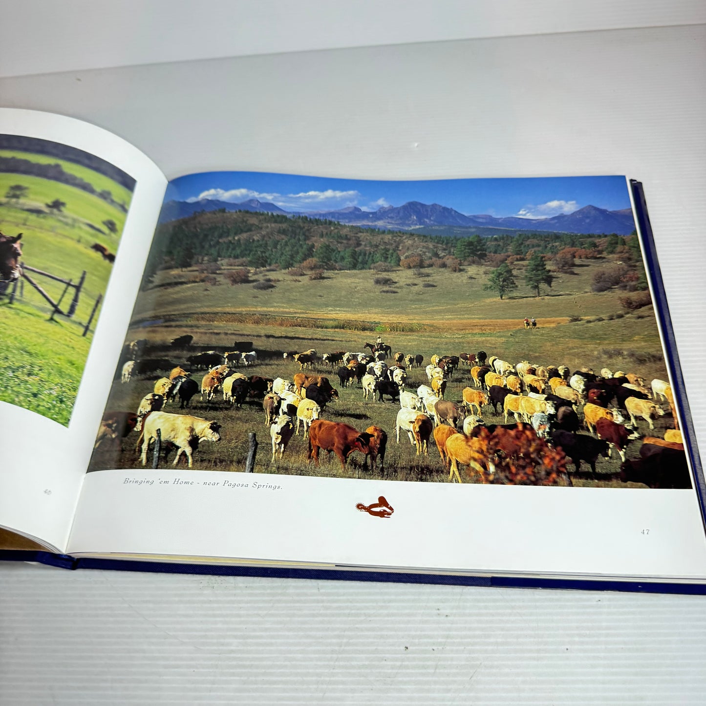Colorado Cowboys - Christopher Marona