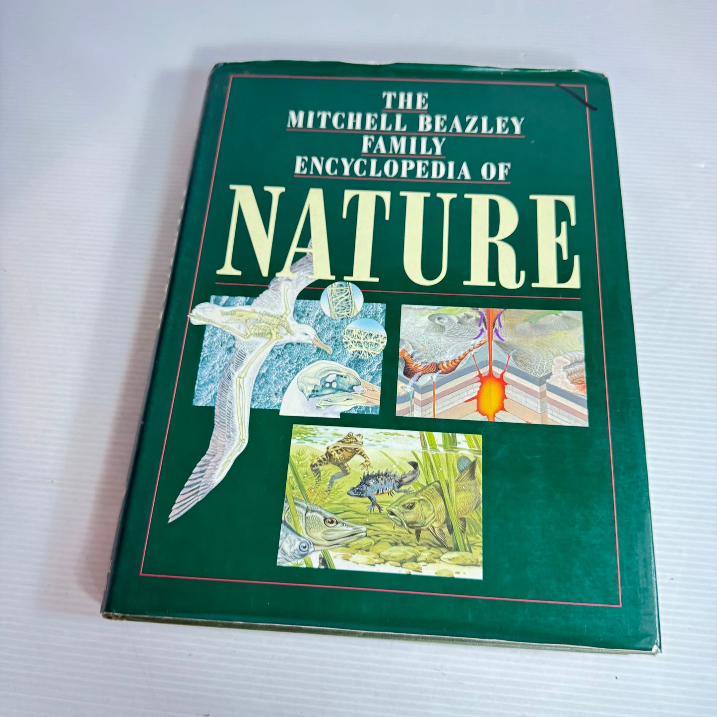 The Mitchell Beazley Family Encyclopaedia of Nature (Vintage 1992)