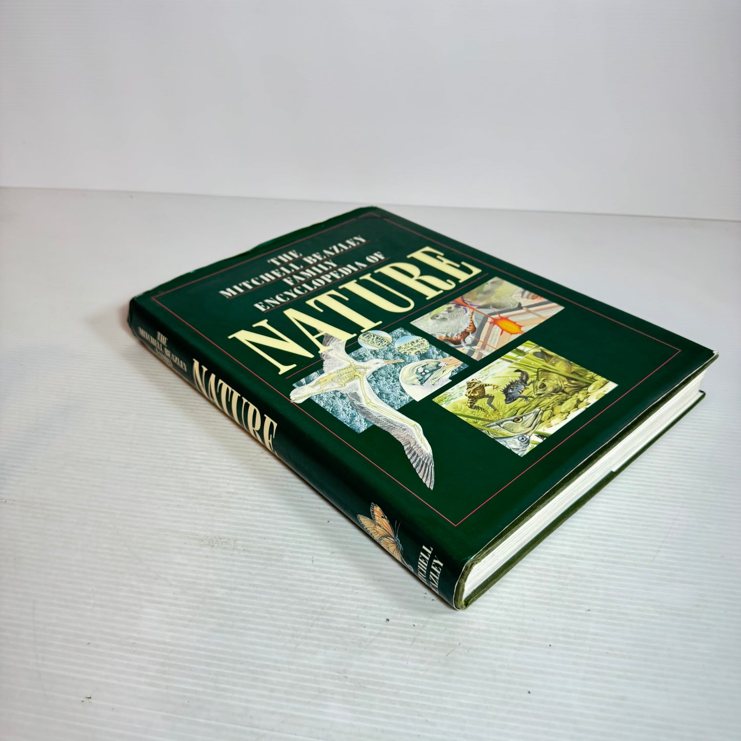 The Mitchell Beazley Family Encyclopaedia of Nature (Vintage 1992)