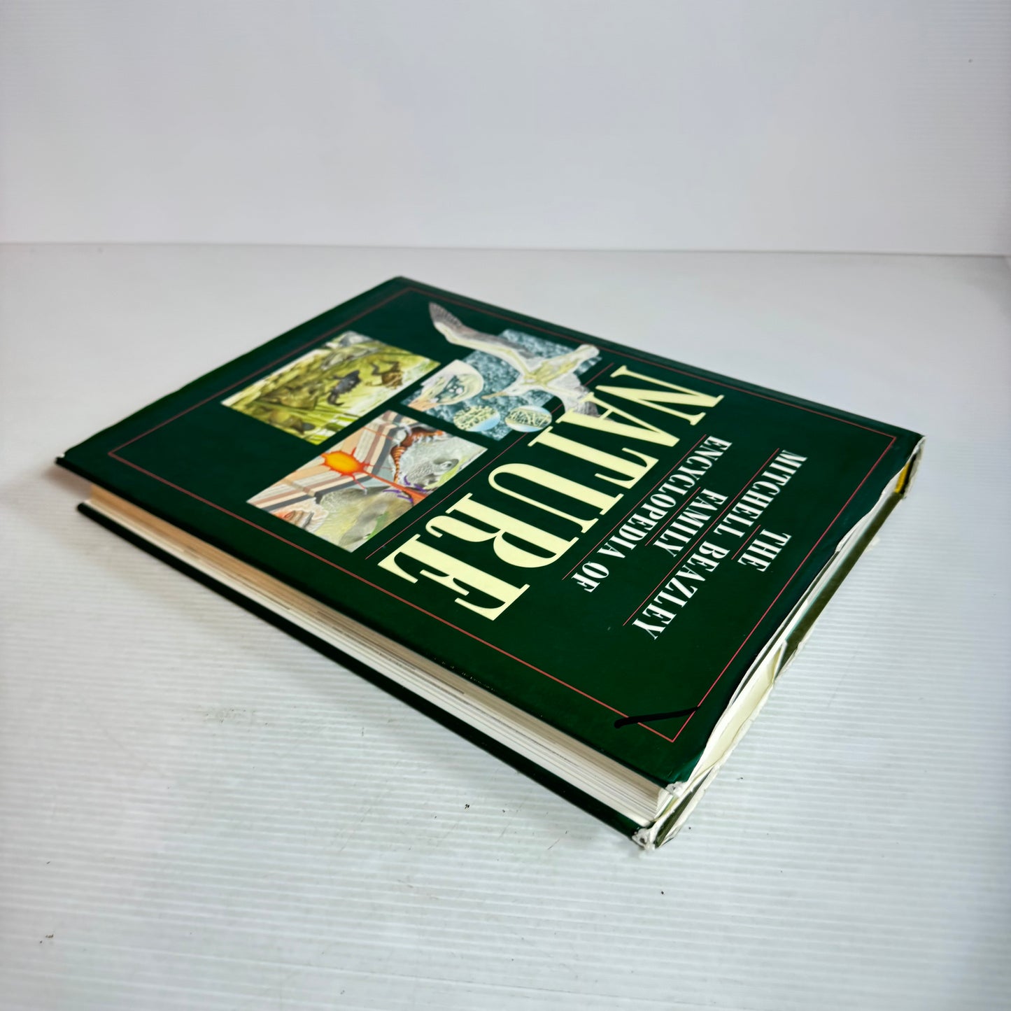 The Mitchell Beazley Family Encyclopaedia of Nature (Vintage 1992)