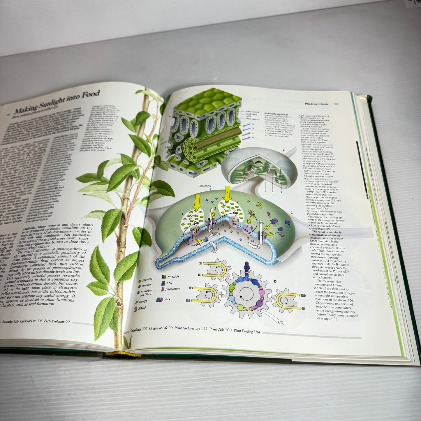 The Mitchell Beazley Family Encyclopaedia of Nature (Vintage 1992)