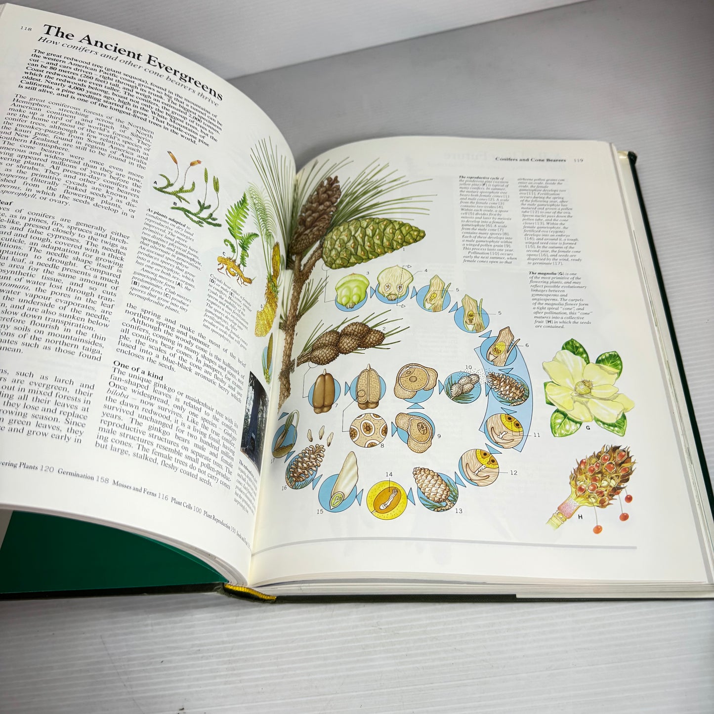 The Mitchell Beazley Family Encyclopaedia of Nature (Vintage 1992)