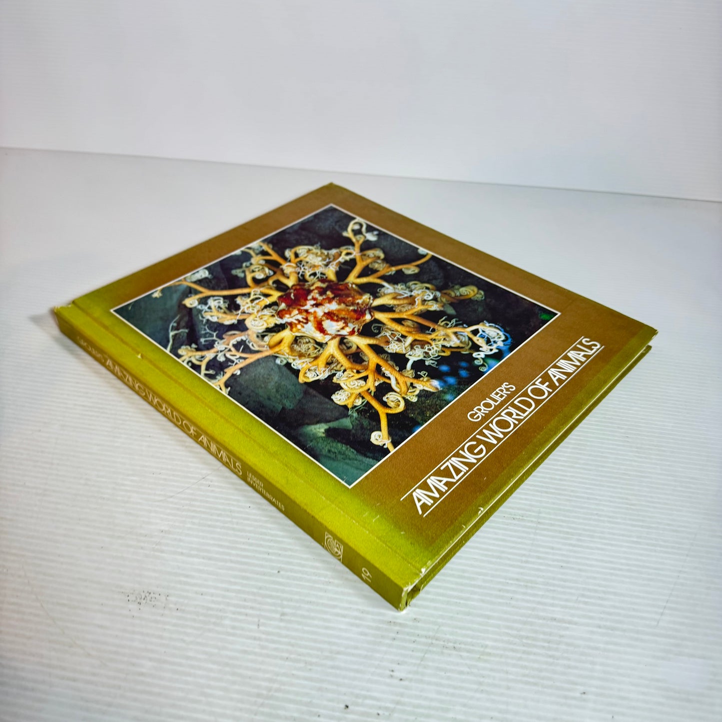 Grolier's Amazing World Of Animals (Vintage 1972)