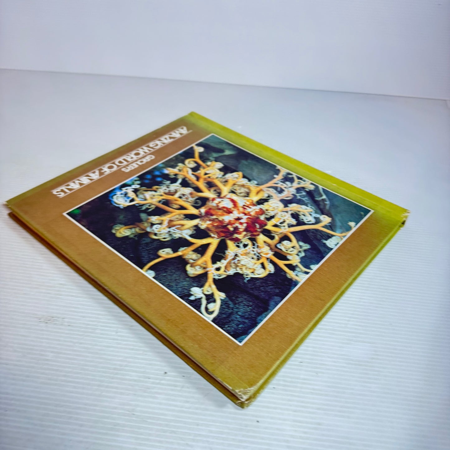 Grolier's Amazing World Of Animals (Vintage 1972)