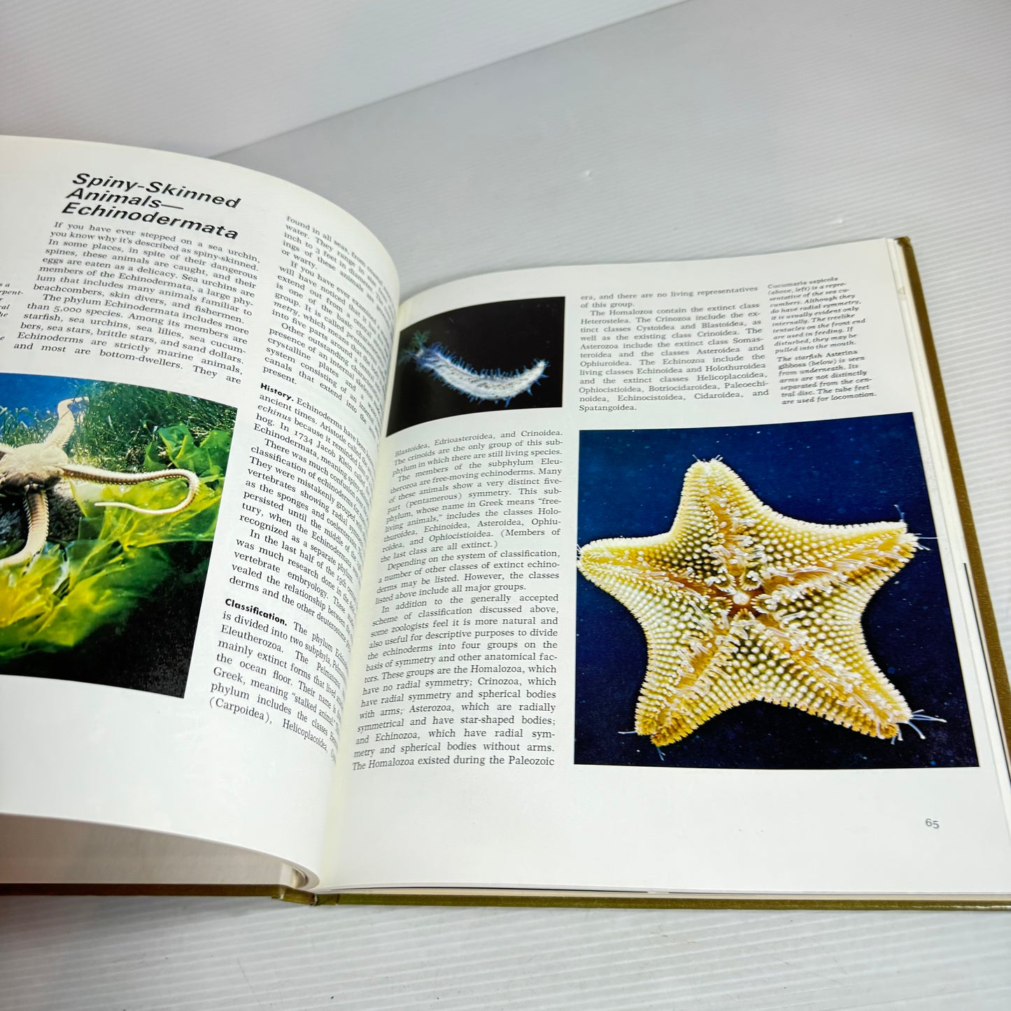 Grolier's Amazing World Of Animals (Vintage 1972)
