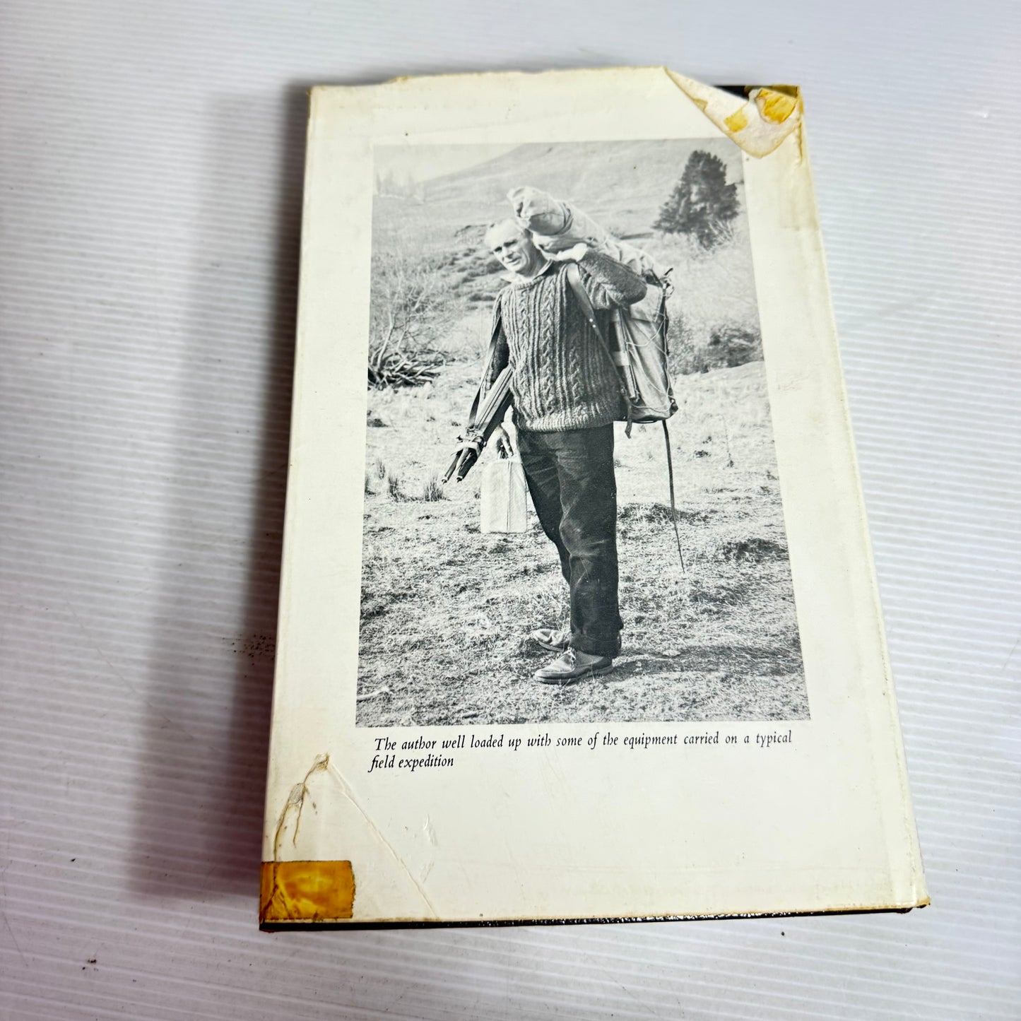 New Zealand Birds - M.F. Soper (Vintage 1972)