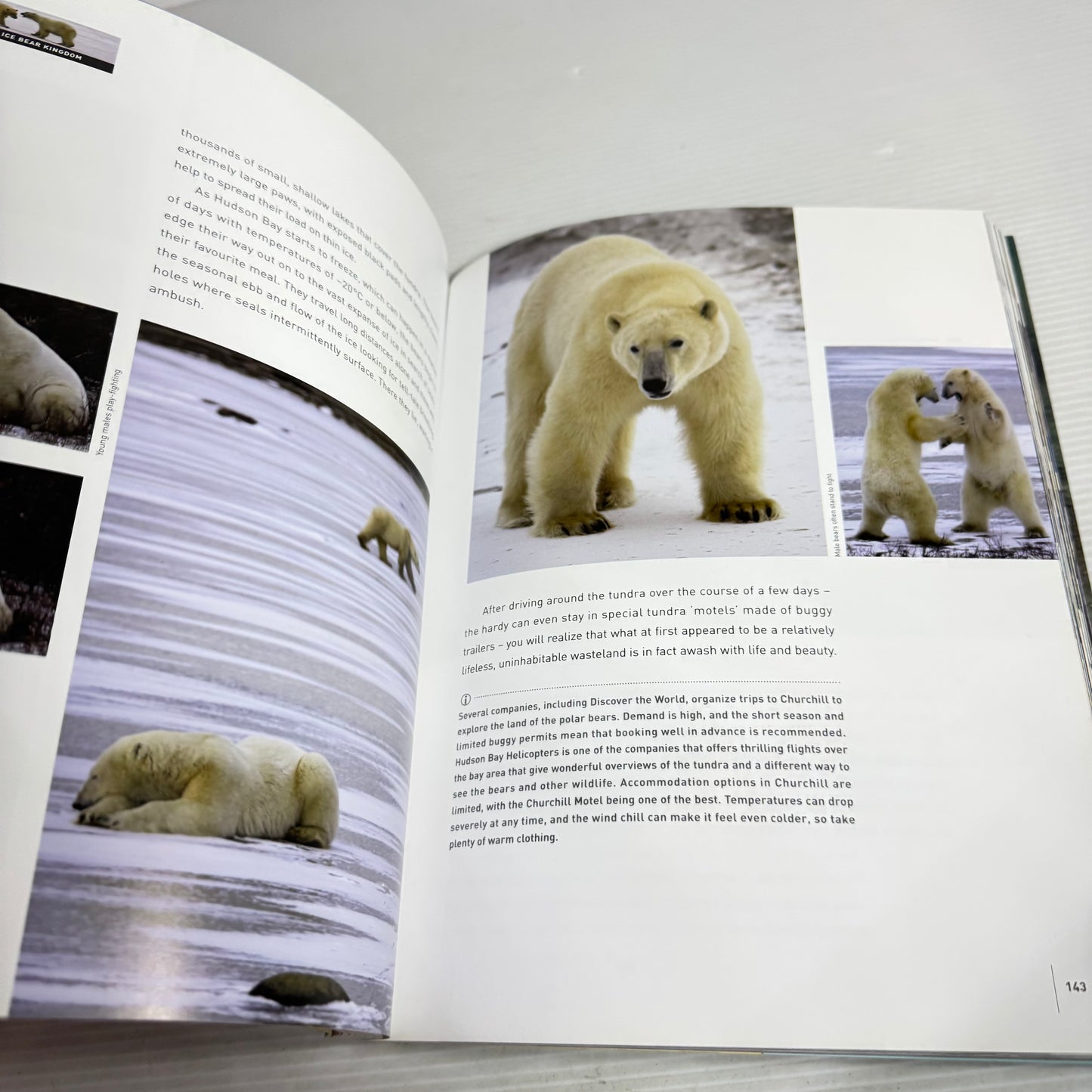 Unforgettable : Journeys To Take Before You Die - Steve Watkins and Clare Jones