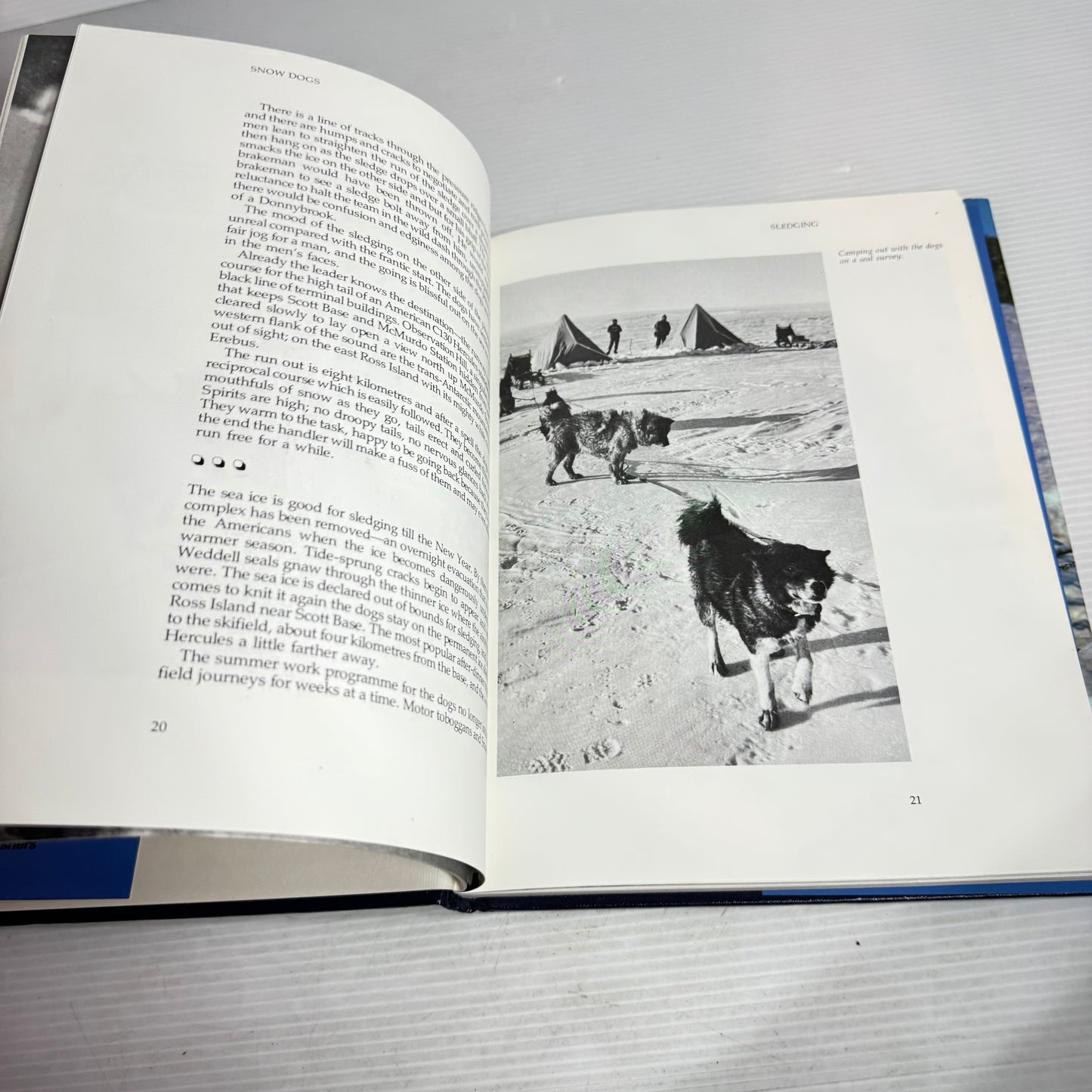 Snow Dogs : The Huskies of Antarctica - Neville Peat
