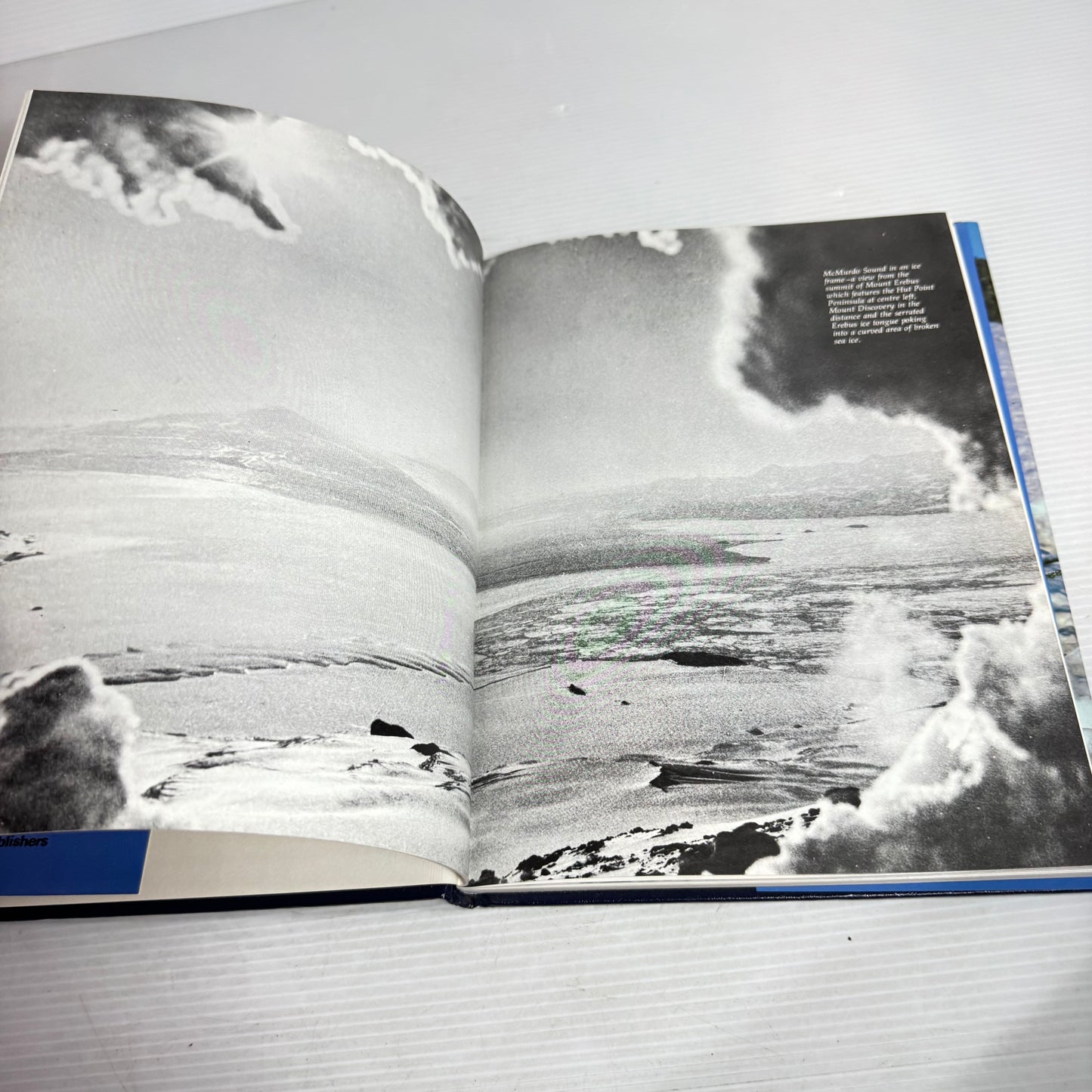 Snow Dogs : The Huskies of Antarctica - Neville Peat