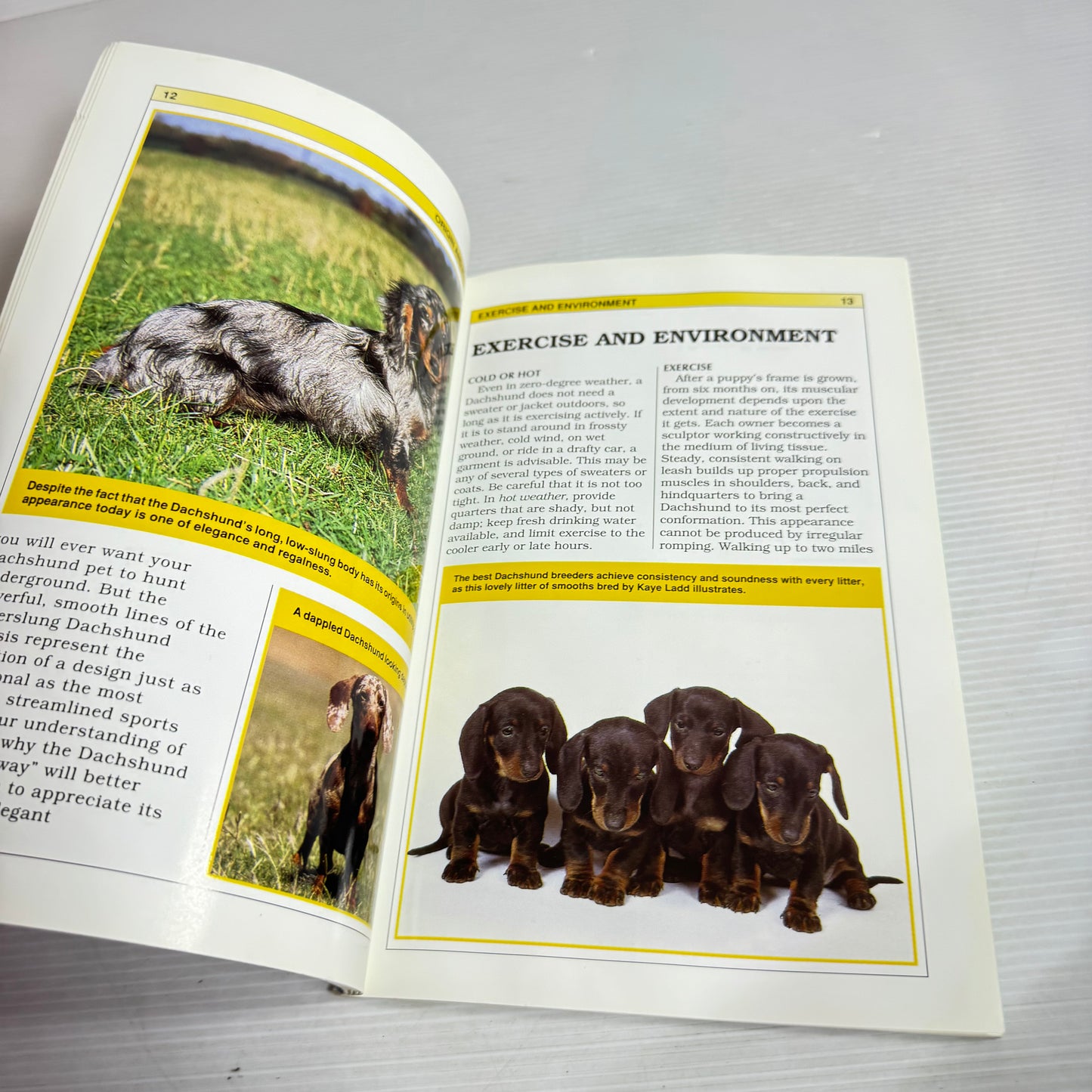 The Guide to Owning a Dachshund (Vintage 1970)