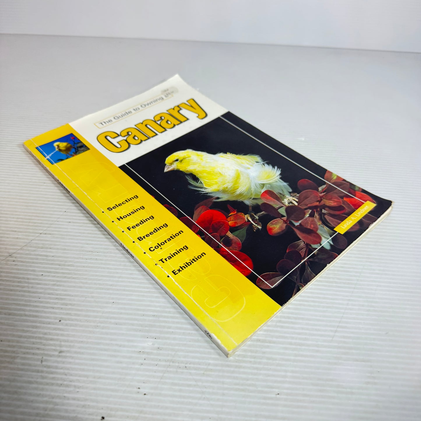 The Guide to Owning a Canary (Vintage 2003)