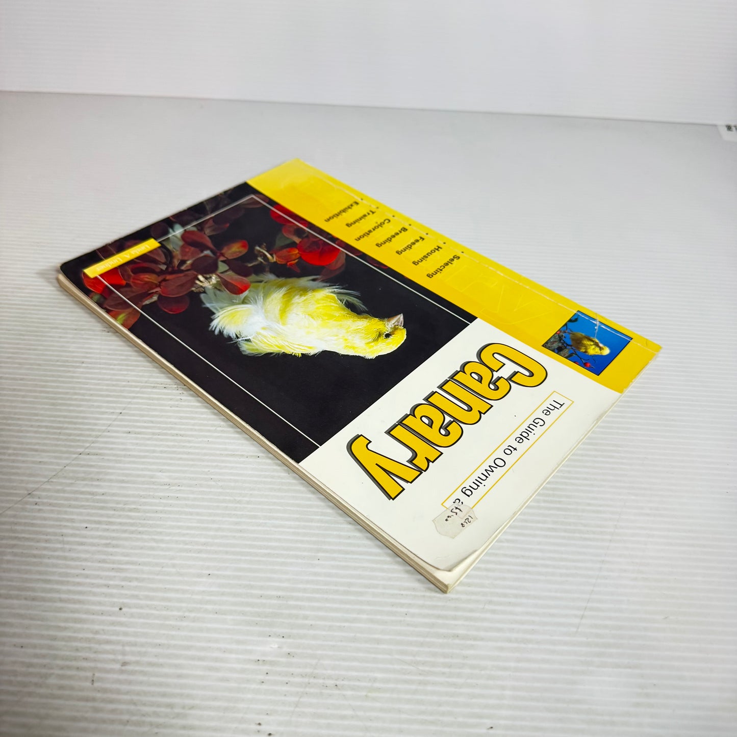 The Guide to Owning a Canary (Vintage 2003)