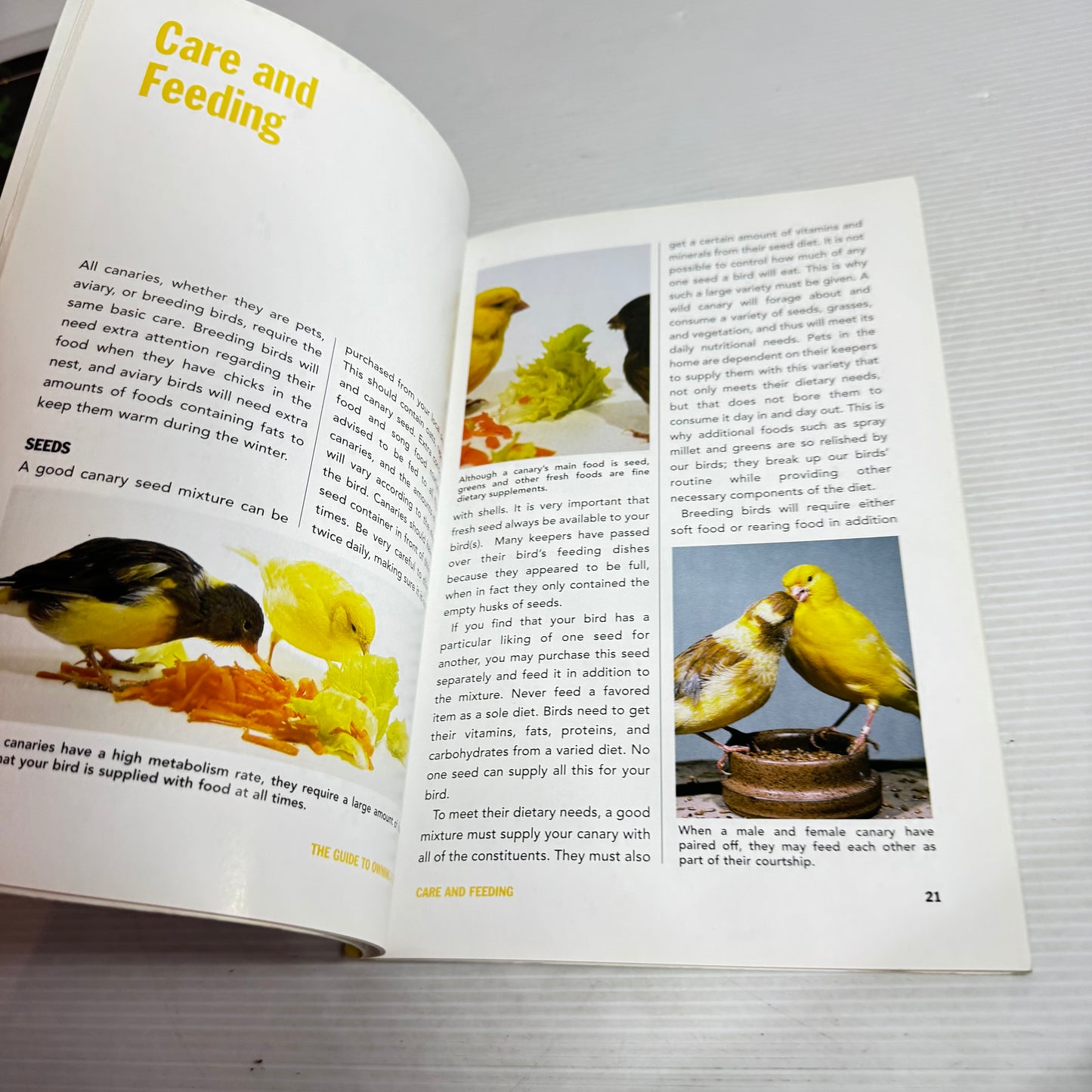 The Guide to Owning a Canary (Vintage 2003)