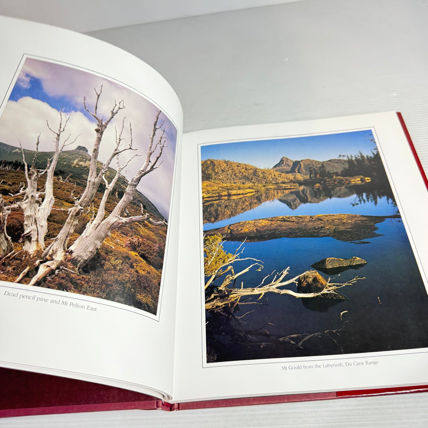 A Tasmanian Wilderness Experience - Dennis Harding