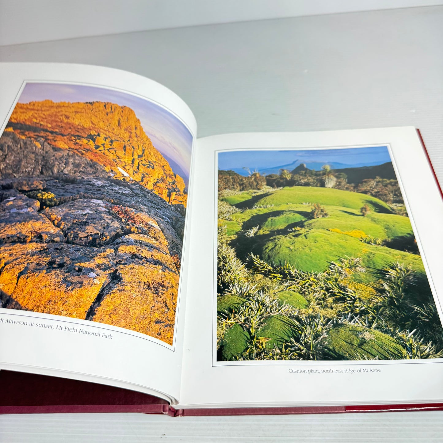 A Tasmanian Wilderness Experience - Dennis Harding