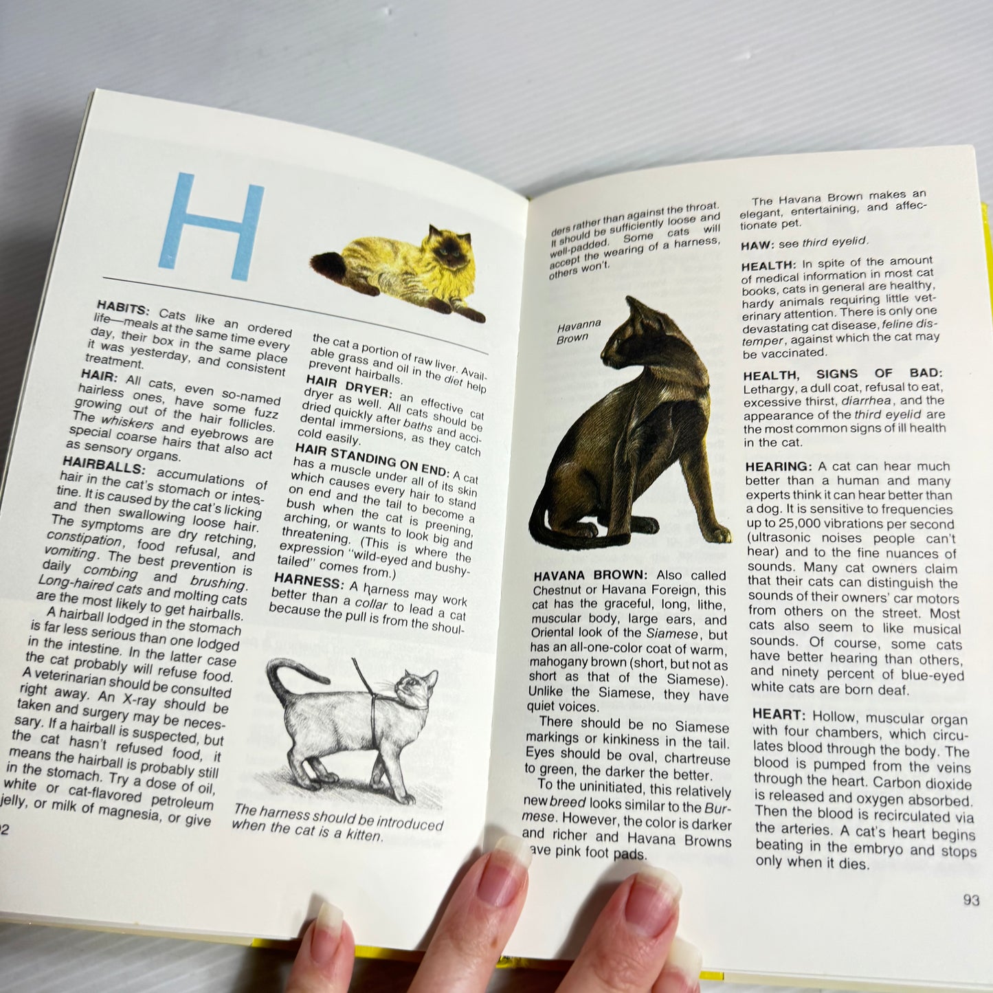 The Concise Encyclopedia Of Cats - Barbara Shook Hazen (Vintage 1974)