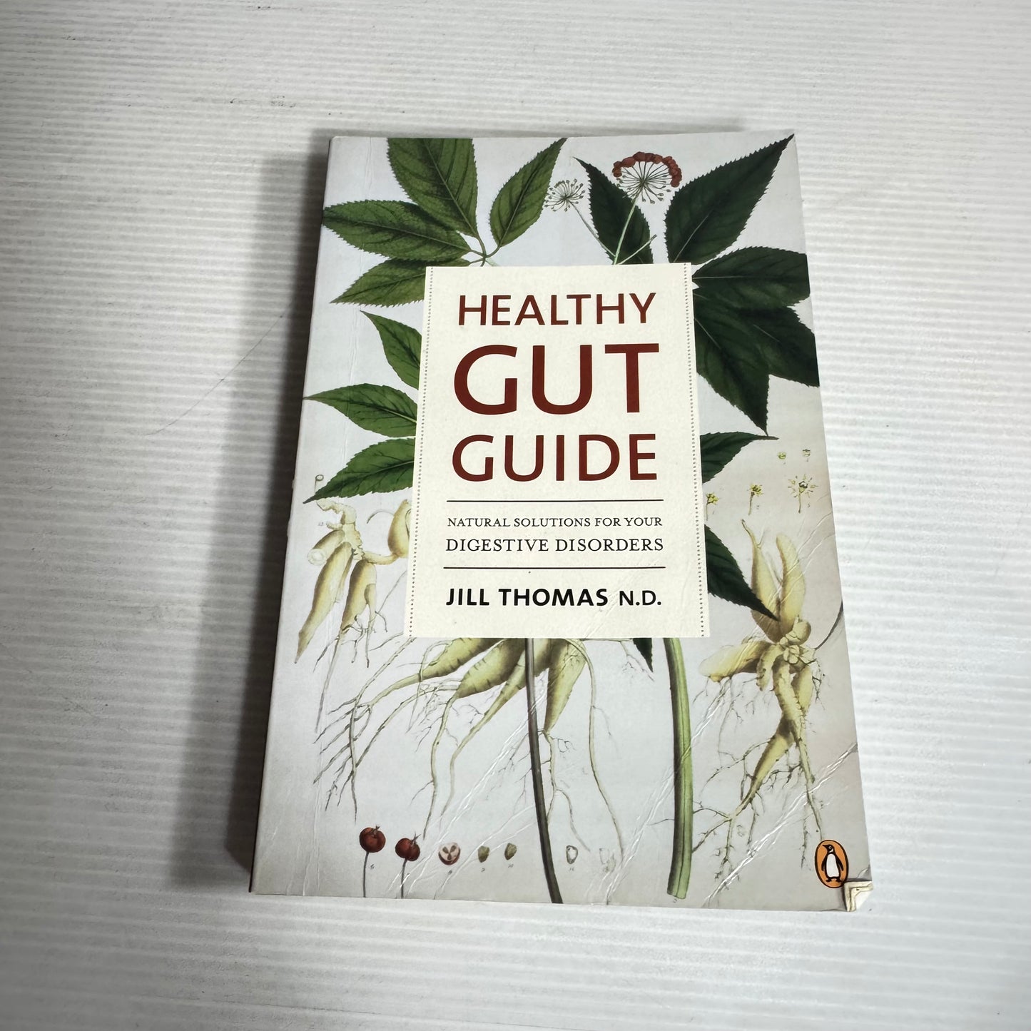 Healthy Gut Guide : Natural Solutions for Your Digestive Disorders - Jill Thomas N.D