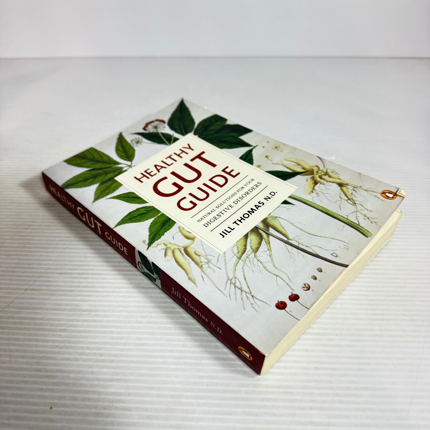 Healthy Gut Guide : Natural Solutions for Your Digestive Disorders - Jill Thomas N.D