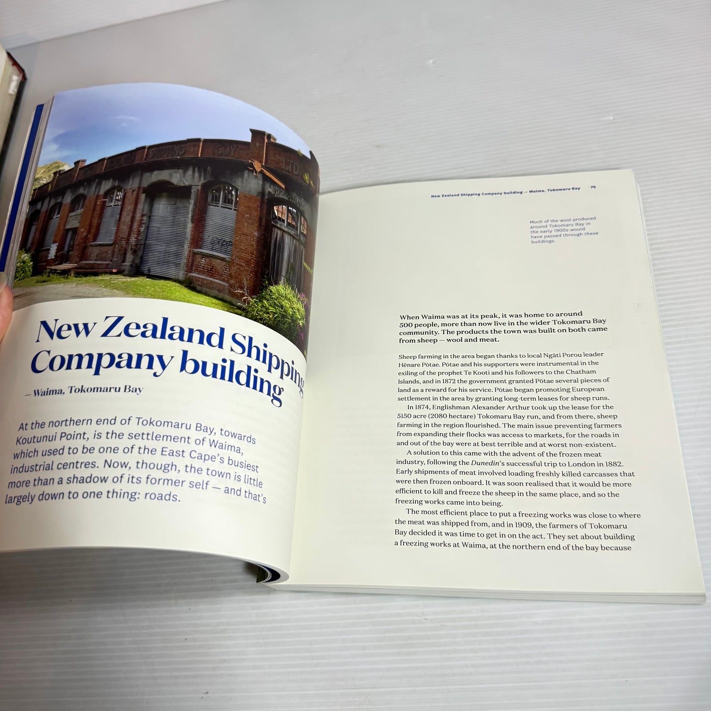 Who Lived There? The Stories Behind Historic New Zealand Buildings - Nicola McCloy
