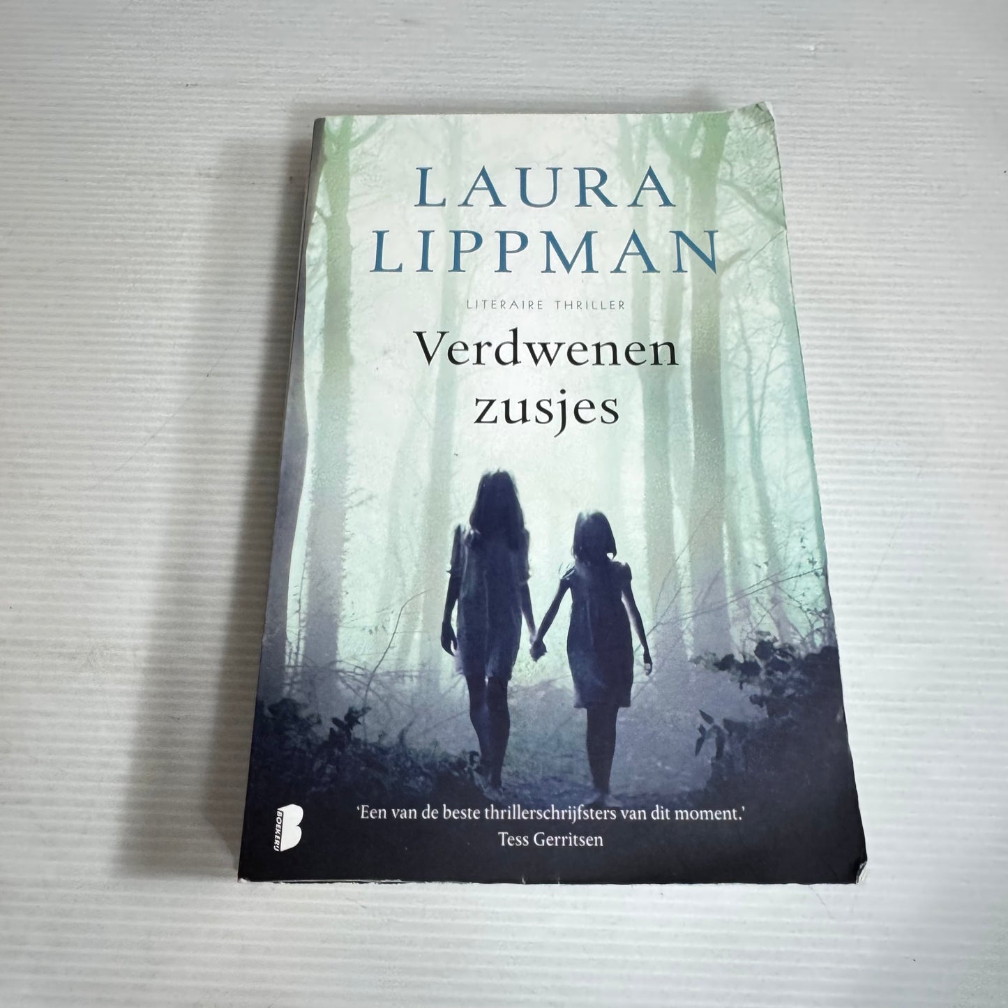 Verdwenen Zusjes/Disappeared Sisters - Laura Lippman Dutch Language