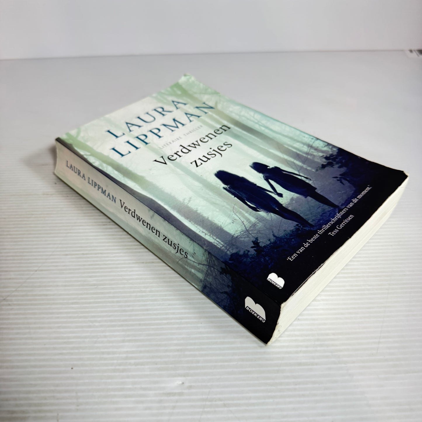 Verdwenen Zusjes/Disappeared Sisters - Laura Lippman Dutch Language