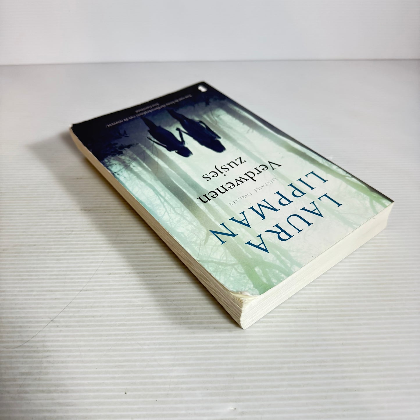 Verdwenen Zusjes/Disappeared Sisters - Laura Lippman Dutch Language