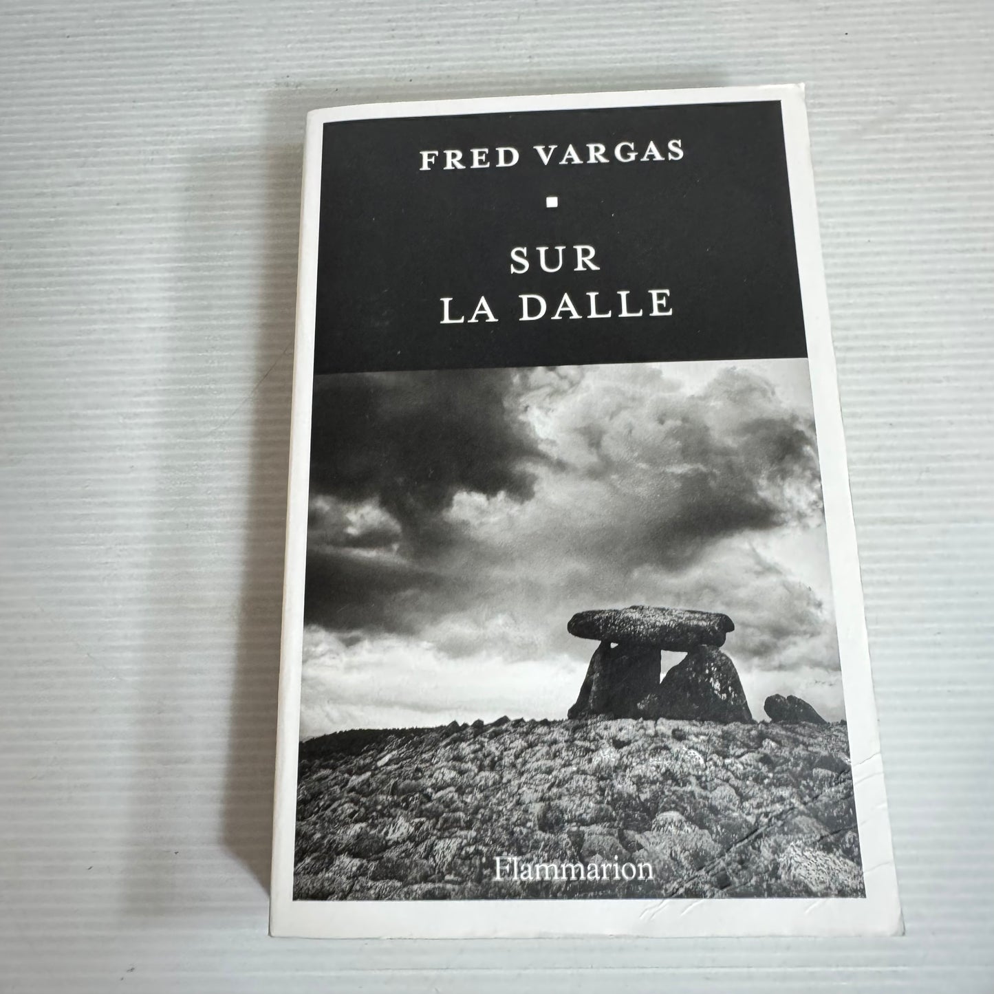 On the Slab (Sur La Dalle) - Fred Vargas French Language