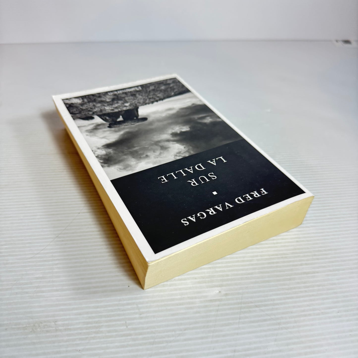 On the Slab (Sur La Dalle) - Fred Vargas French Language