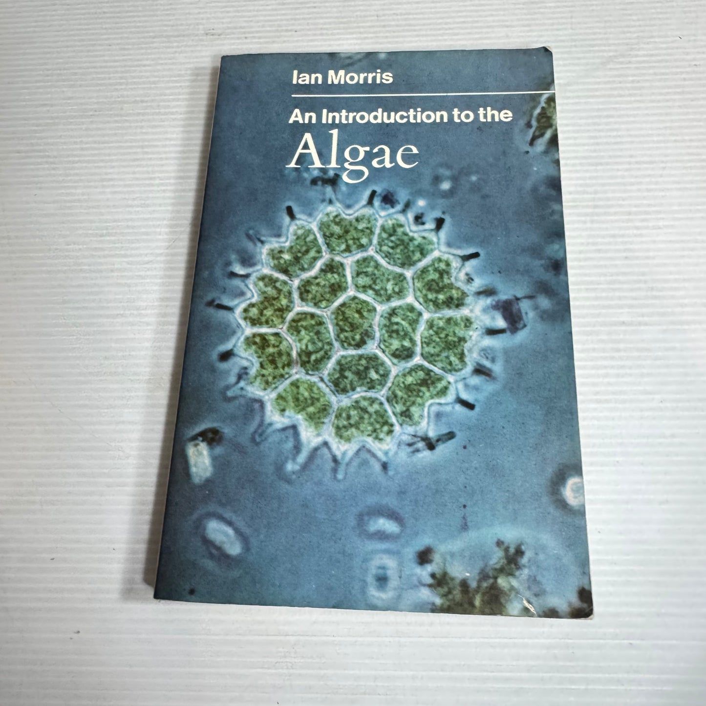 An Introduction to the Algae - Ian Morris