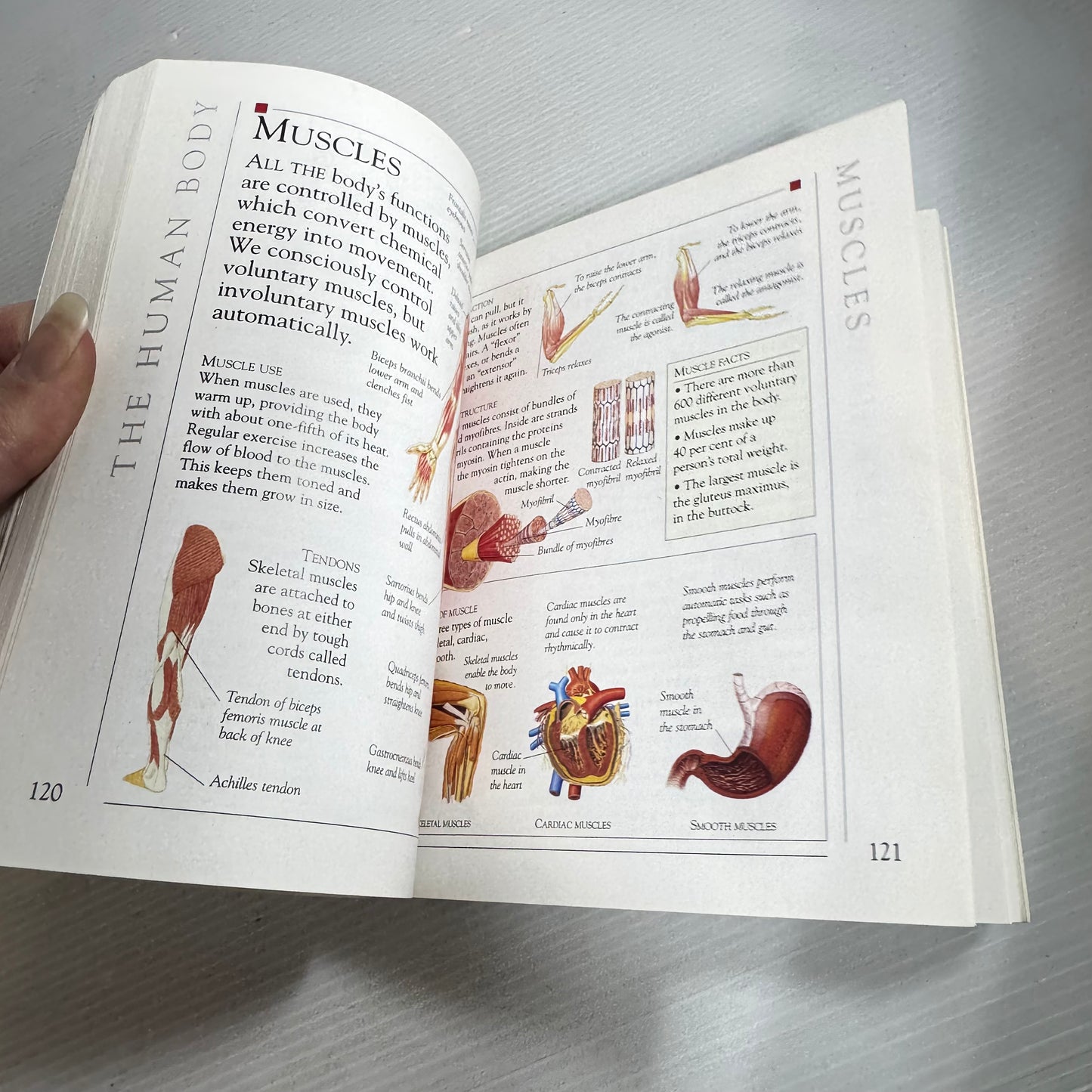 Concise Encyclopaedia