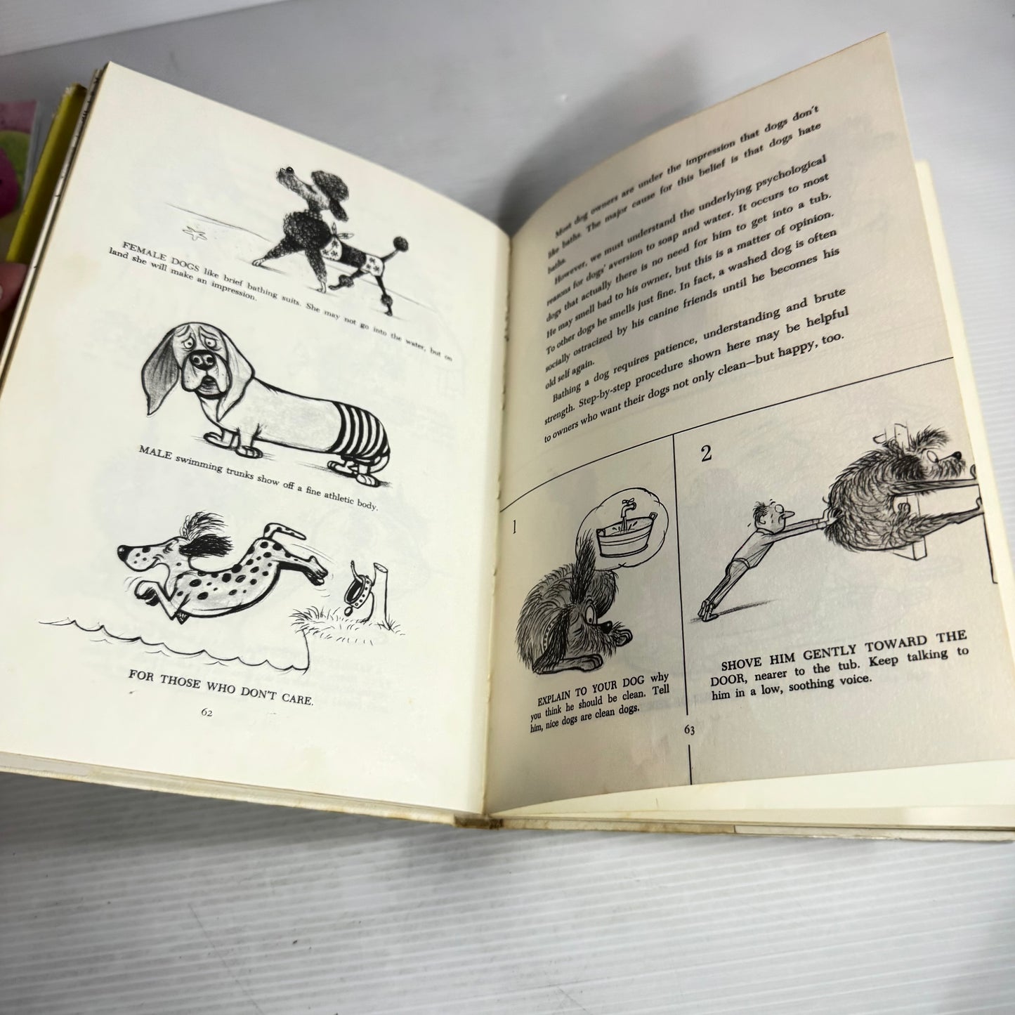 How To Live With A Neurotic Dog - Stephen Baker (Vintage 1961)