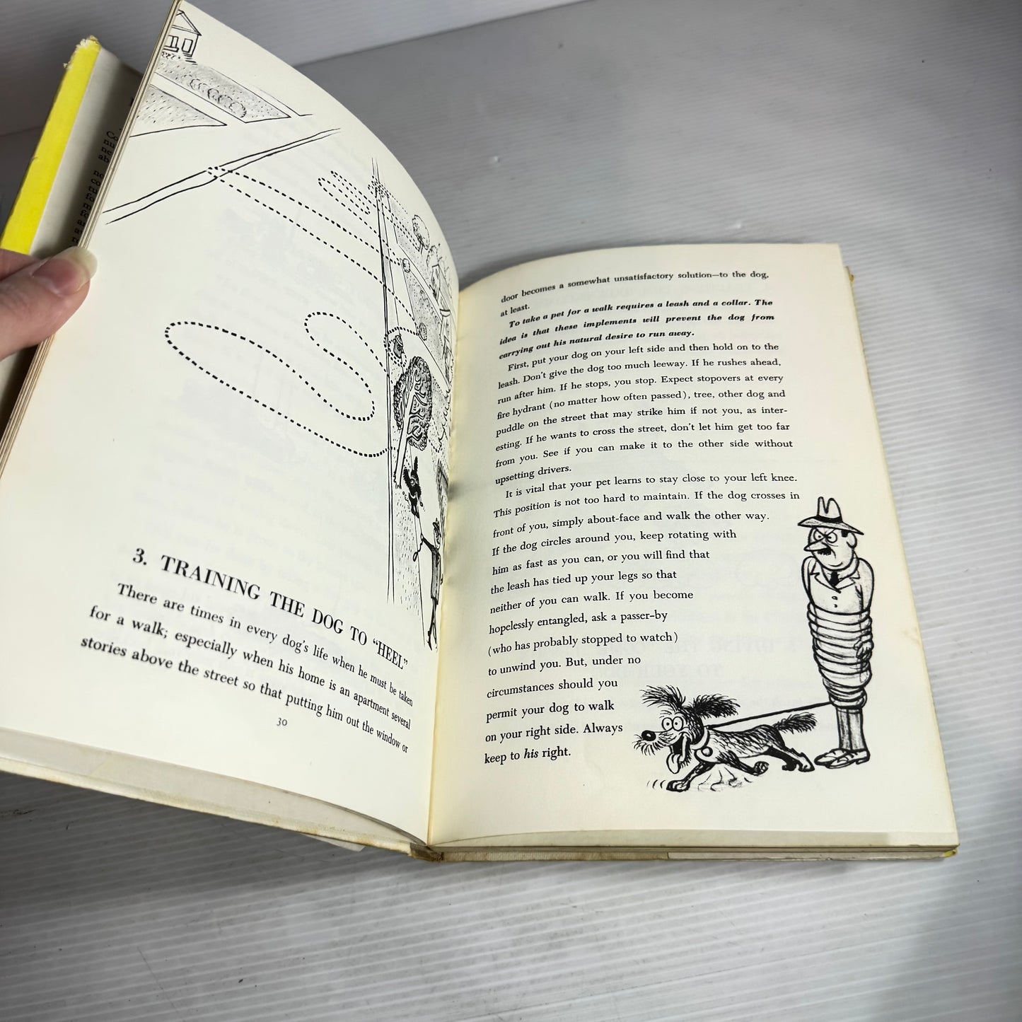 How To Live With A Neurotic Dog - Stephen Baker (Vintage 1961)
