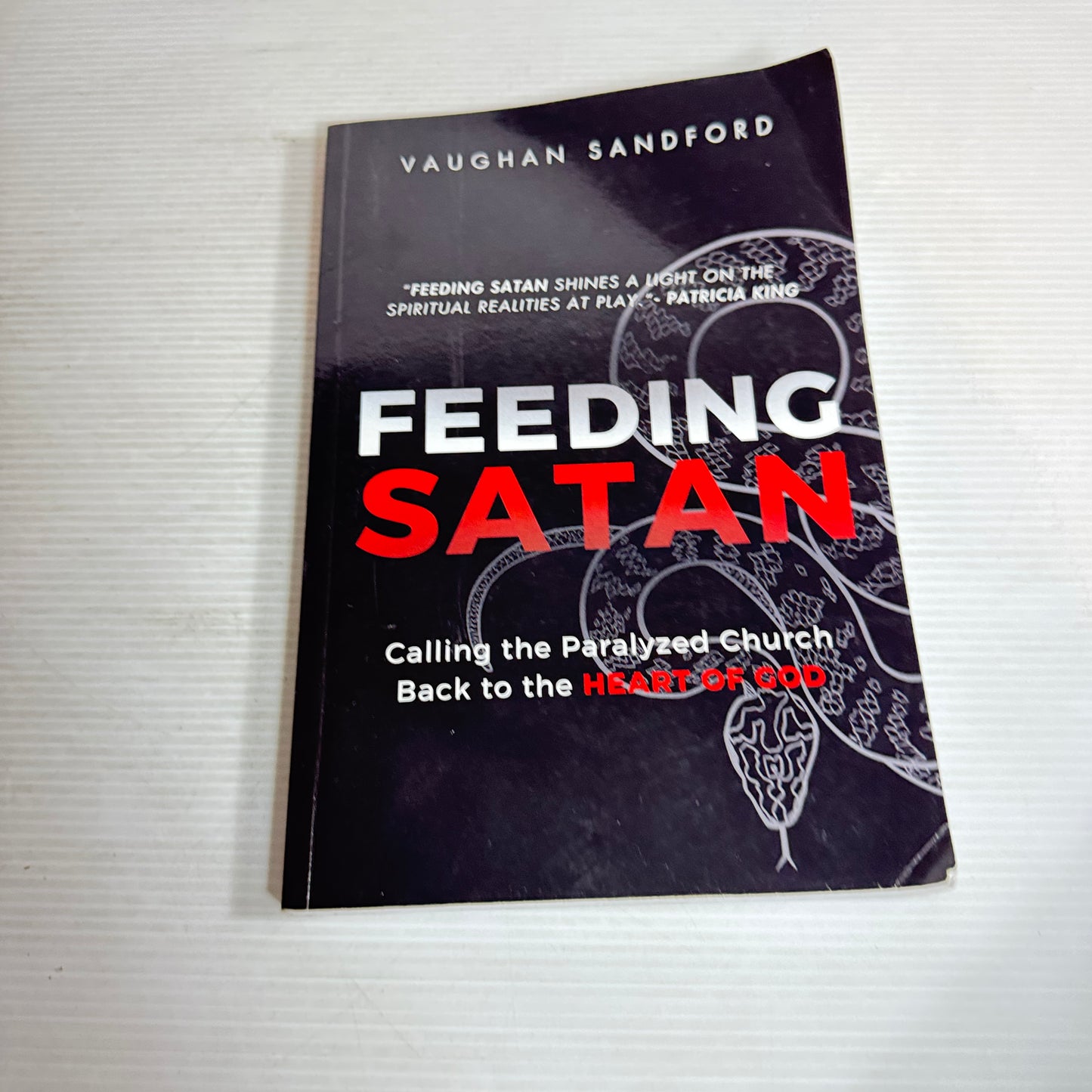 Feeding Satan - Vaughan Sandford