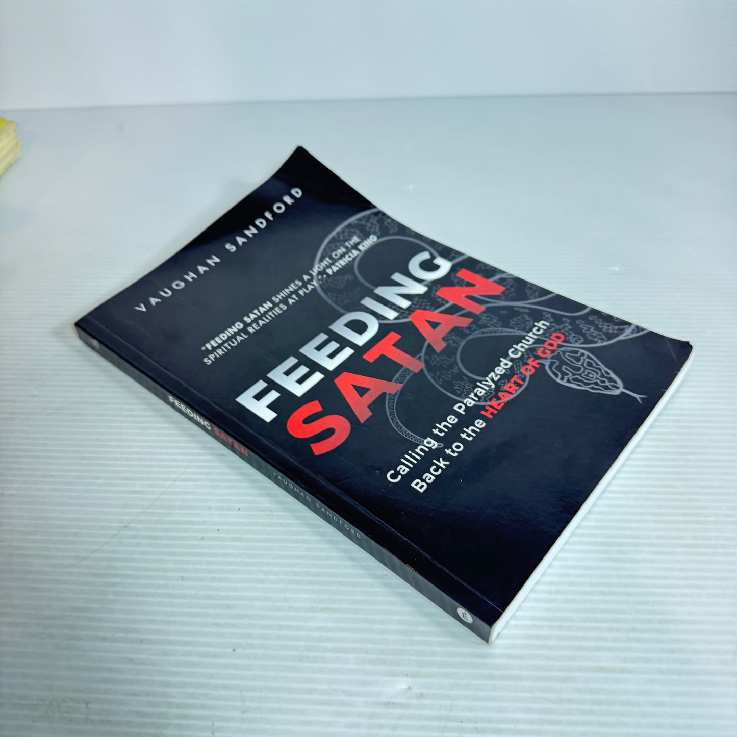 Feeding Satan - Vaughan Sandford