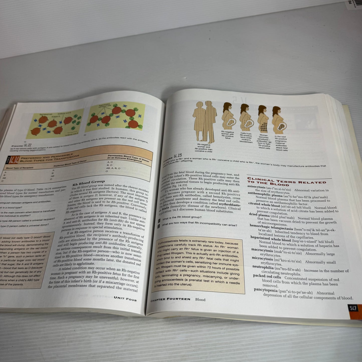Hole's Human Anatomy & Physiology (8th Edition) - David Shier, Jackie Butler, Ricki Lewis