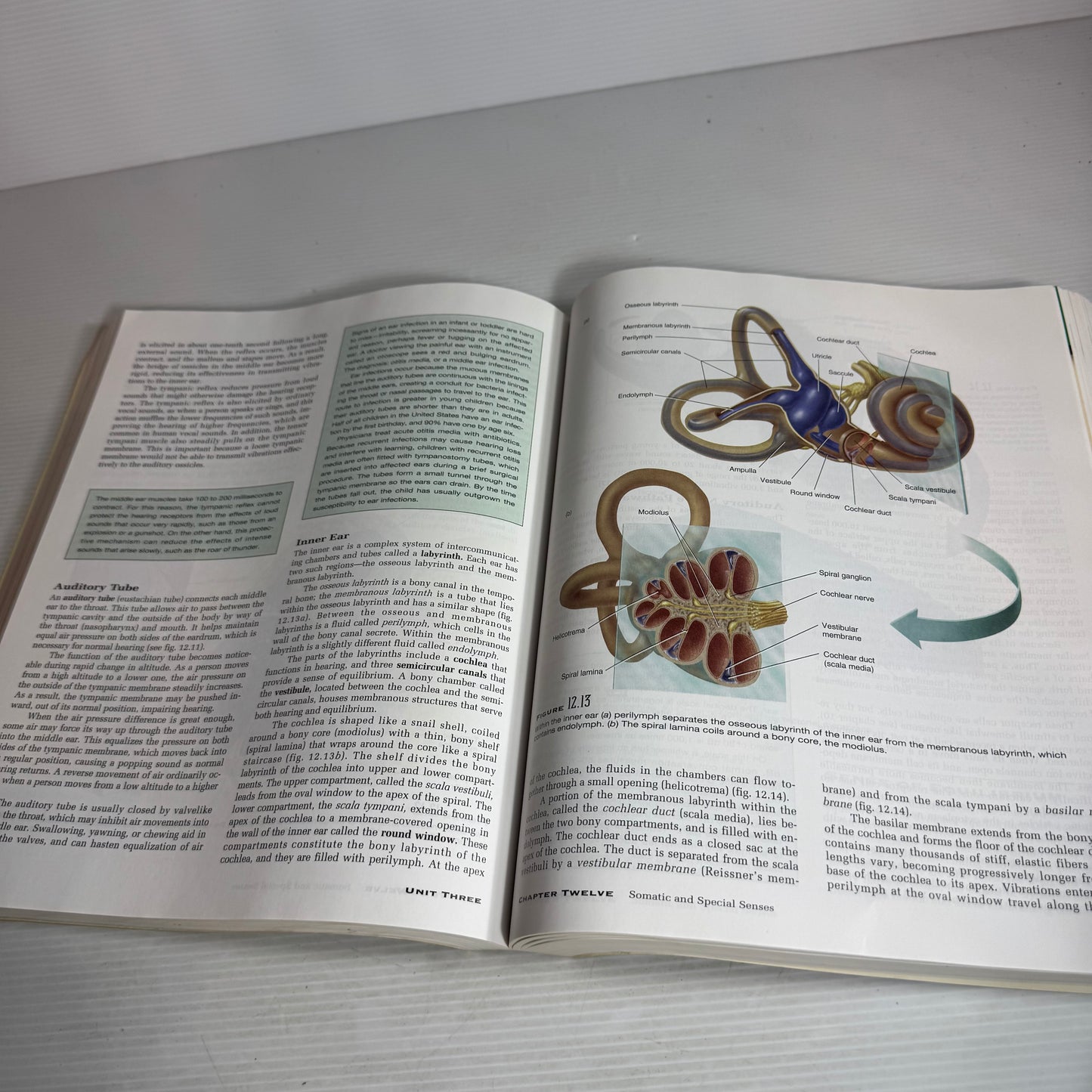 Hole's Human Anatomy & Physiology (8th Edition) - David Shier, Jackie Butler, Ricki Lewis