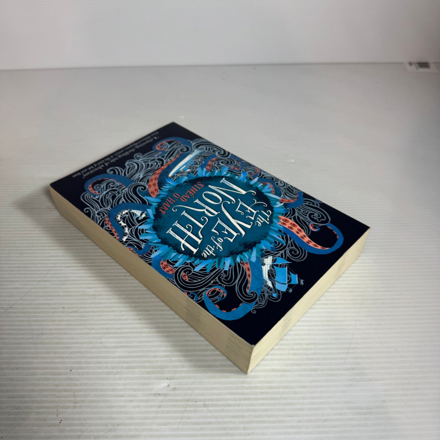 The Eye Of The North - Sinead O'Hart