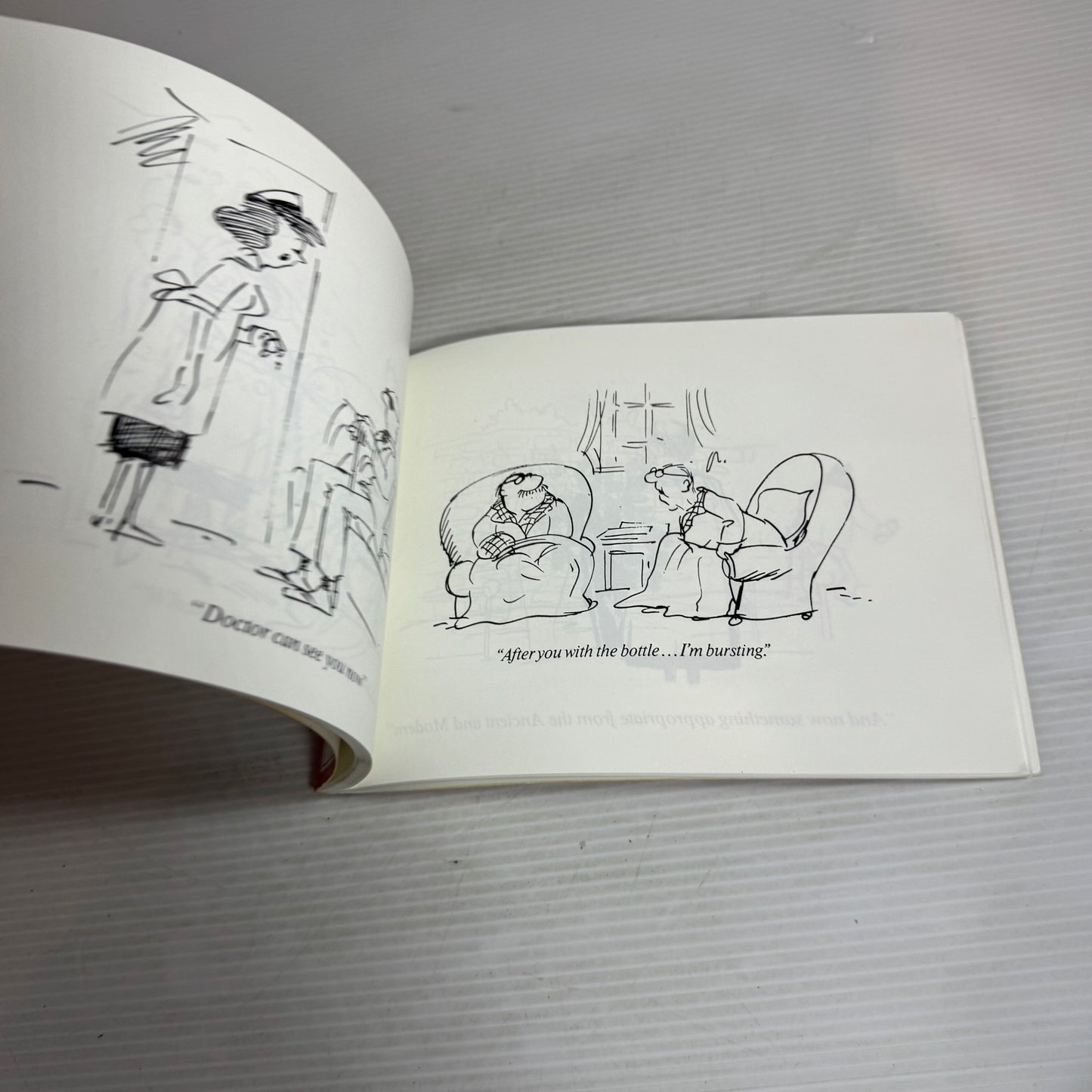 A Silvey-Jex Bad Taste Book From Beginning To End