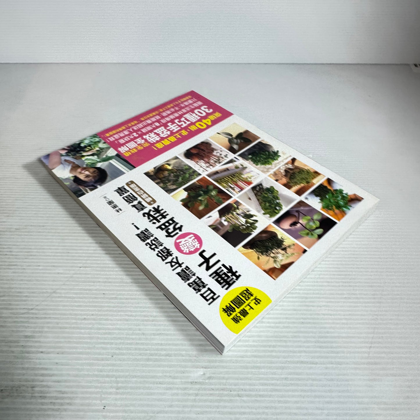 Growing Bonsai Is So Easy - Lui Juilan CHINESE LANGUAGE