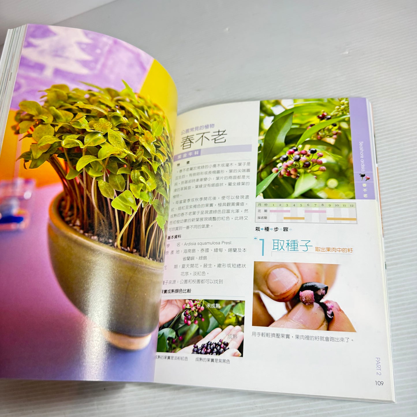 Growing Bonsai Is So Easy - Lui Juilan CHINESE LANGUAGE