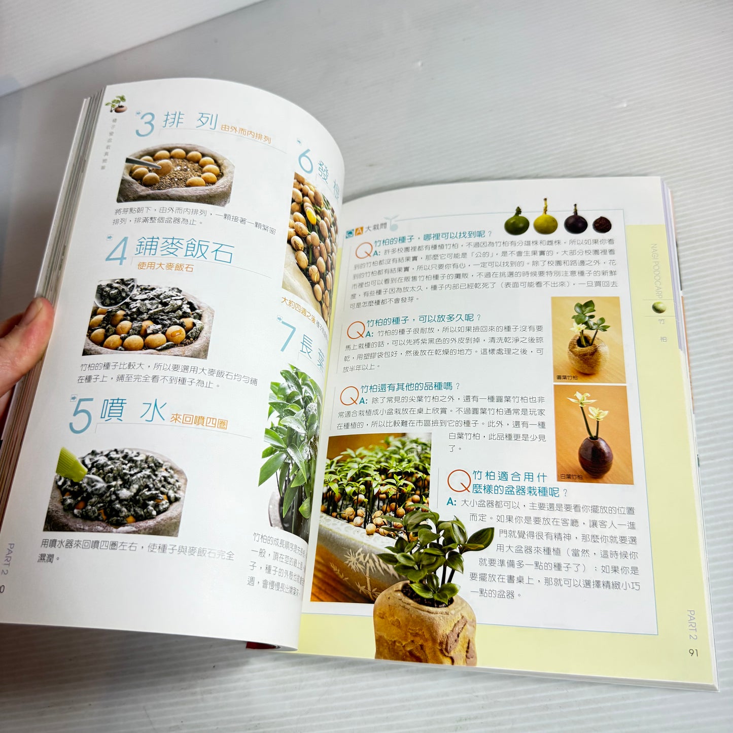 Growing Bonsai Is So Easy - Lui Juilan CHINESE LANGUAGE