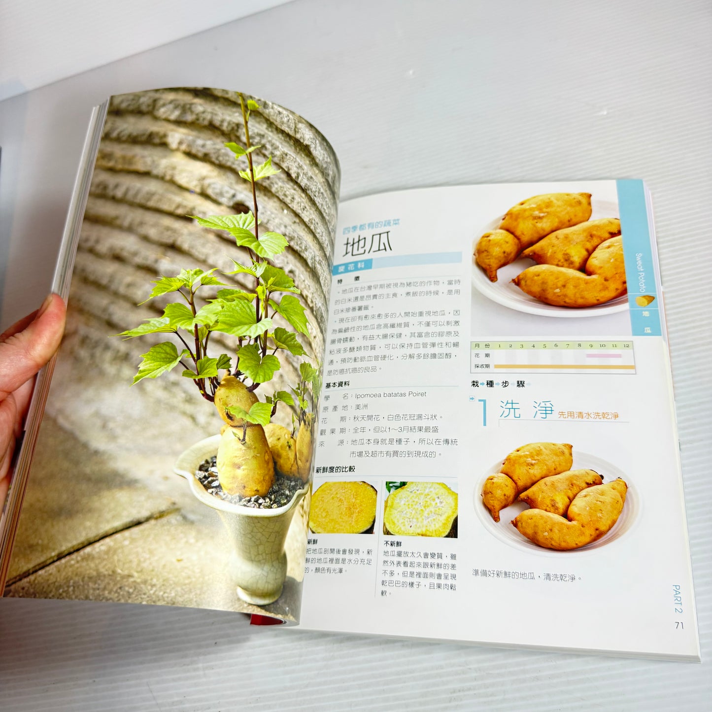 Growing Bonsai Is So Easy - Lui Juilan CHINESE LANGUAGE